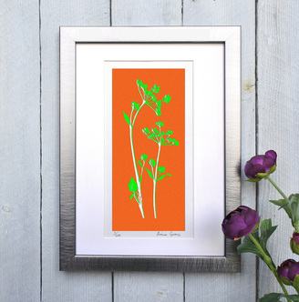 Cow Parsley print Orange and Green framed
