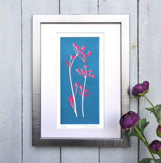 Cow Parsley print Teal and Magenta framed