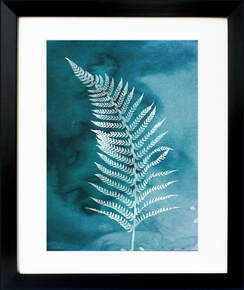 Cyanotype effect Fern print by Fiona Gray