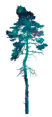 Tree silhouette in Greens & Blues