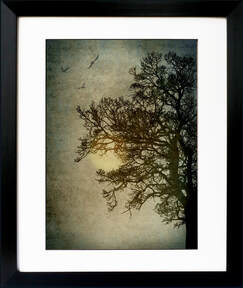 Misty Morning memories print by Fiona Gray