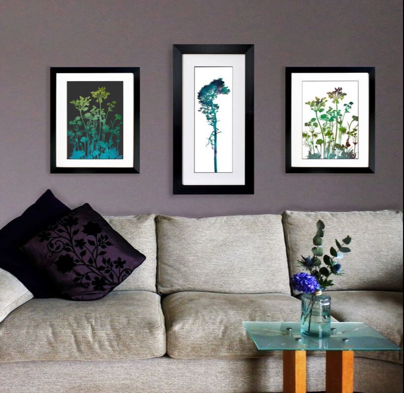Agapanthus & Bellingham Tree prints by Fiona Gray