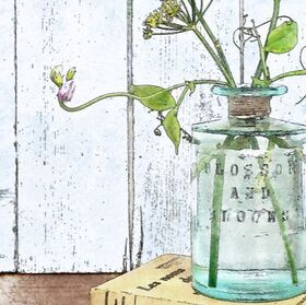 Fennel & Sweet Peas displayed in a glass bottle,  watercolour effect illustration, detail  