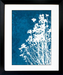 Fiona Gray print 'Wild Flowers No.1' . White flower silhouette against a Cyan Blue background