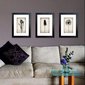 Hyacinth, Teasel & Allium botanical framed prints displayed in a home by Fiona Gray