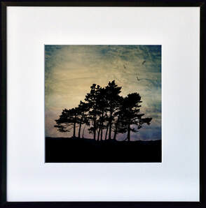 Fiona Gray tree silhouette print Purple Dawn