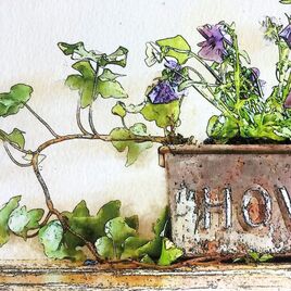 Delightful ink & watercolour effect illustration featuring a vintage Hovis tin planted with Viola & Ivy in situ on a wall