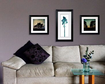 3 prints by Fiona Gray displayed on a lounge wall