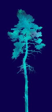 Tree silhouette with blue background