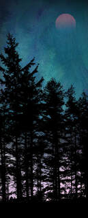 Trees at Dusk 2 fine art print by Fiona Gray. Pine tree silhouette against a dramatic Turquoise & Purple background, with the moon faintly showing
