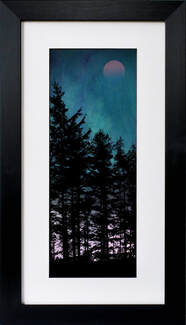 Trees at Dusk 2 fine art print by Fiona Gray. Pine tree silhouette against a dramatic Turquoise & Purple background , with the moon faintly showing