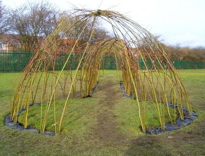 Willow structure