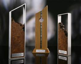 trophies 2005 mixed media