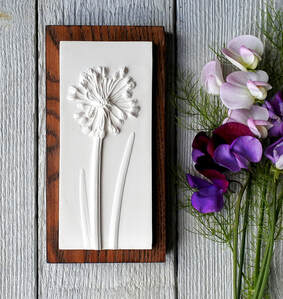 Mini Allium plaster cast decorative plaque by Fiona Gray