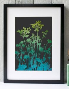 Agapanthus, Carnation, Nigella print