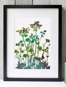 Agapanthus, Carnation, Nigella print