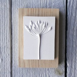 Mini plaster cast Cow Parsley tile on wood