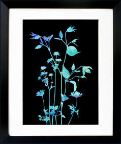 Clematis Astrantia Anemonie flower print by Fiona Gray