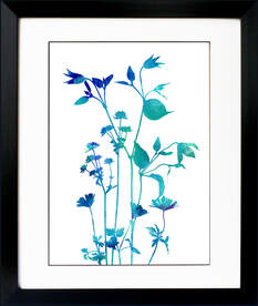 Clematis Astrantia Anemonie flower print by Fiona Gray