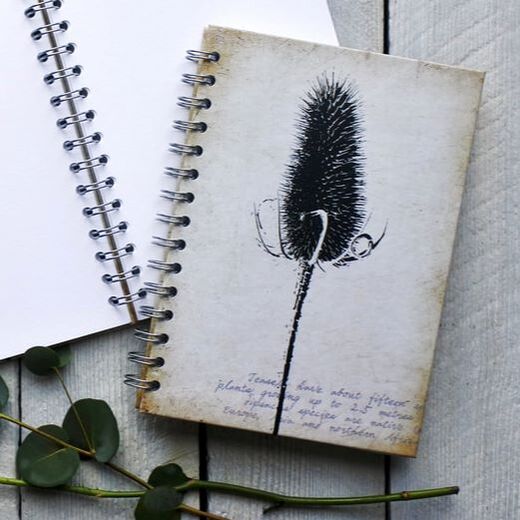 Spiral bound notebook, journal, sketchbook with Teasel seed head on the cover by Fiona Gray