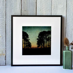 Fiona Gray print of trees silhouetted against a tonal background