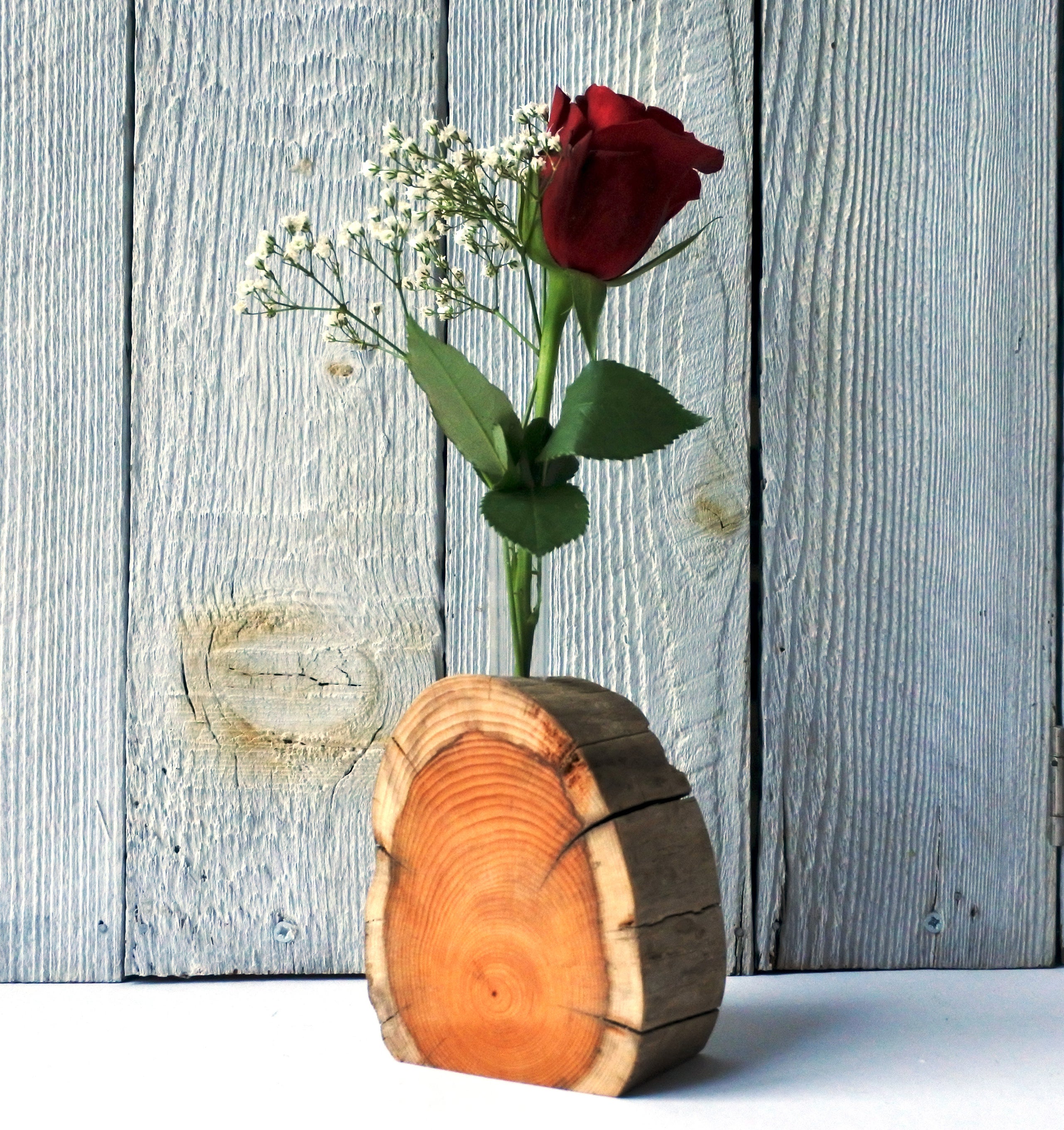Hollow Half Log Vase Holder, Glass Flower Vase Holder