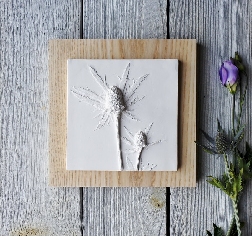 Sea Holly plaster cast plaque on Ash